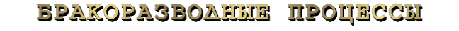 адвокат по бракоразводным процессам